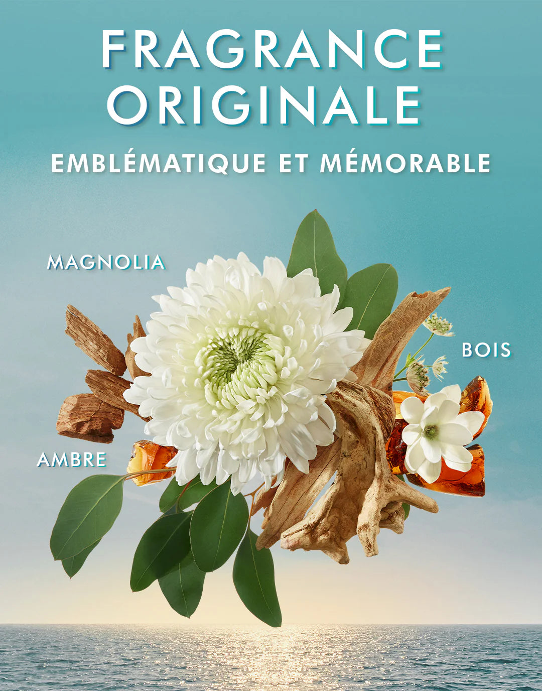 Savon Pour Les Mains Fragrance Originale
